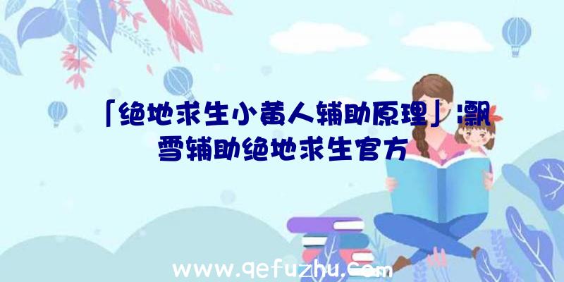 「绝地求生小黄人辅助原理」|飘雪辅助绝地求生官方